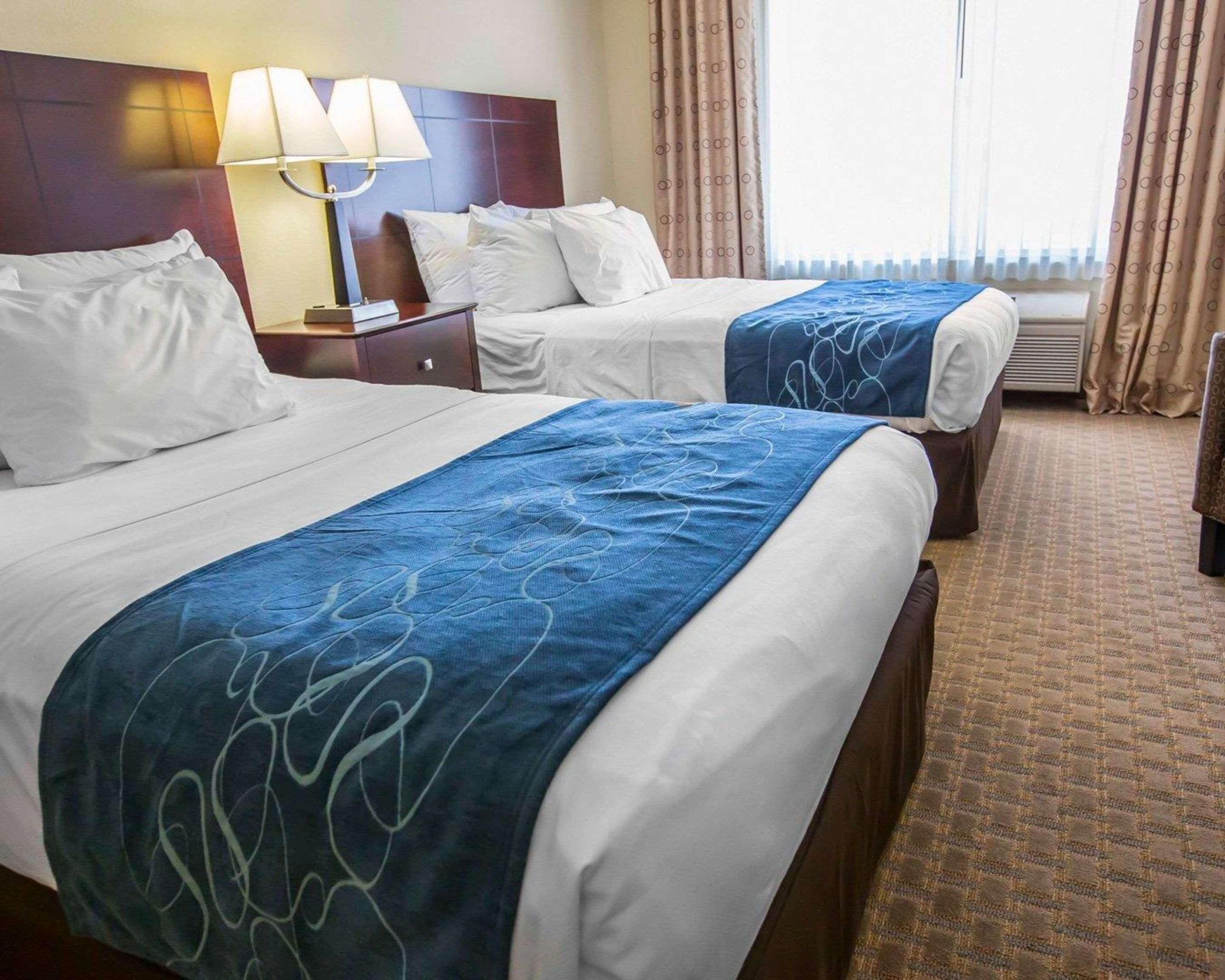 Comfort Suites University Area Notre Dame-ساوث بند المظهر الخارجي الصورة